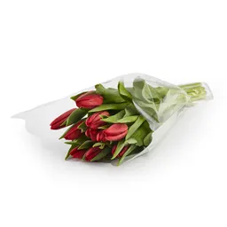 Tulipanes Rojos X 10 Tallos El Paquete