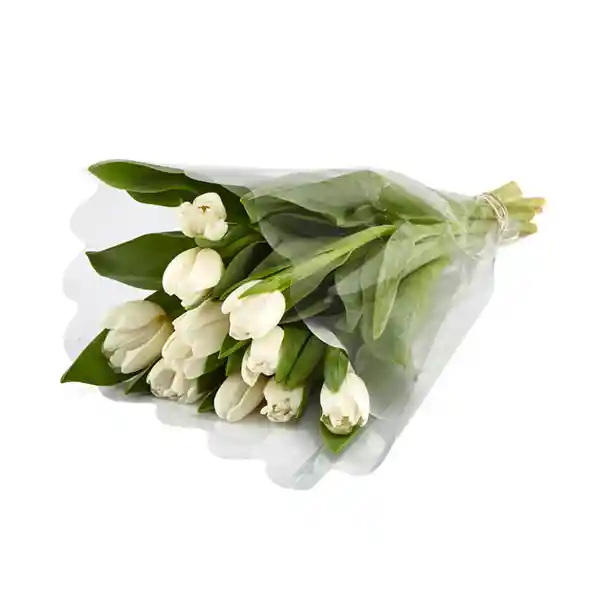 Tulipanes Blancos X 10 Tallos El Paquete