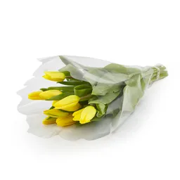 Tulipanes Amarillos X 10 Tallos El Paquete