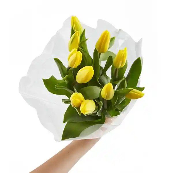 Tulipanes Amarillos X 10 Tallos El Paquete