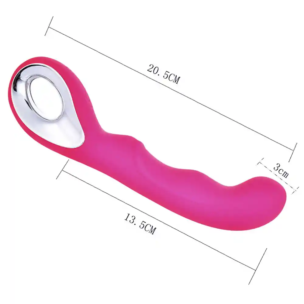 Vibrador Dildo Anal Vaginal Punto G Recargable