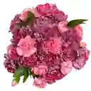 Bq Paula