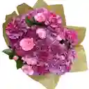 Bq Paula