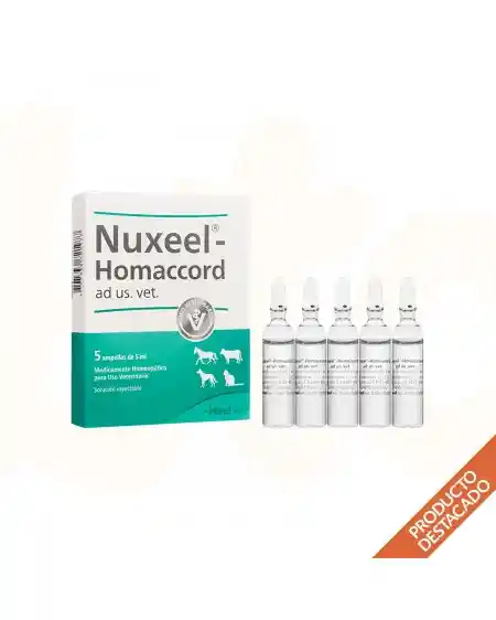 Nuxeel Homaccord Vet Amp 5 Ml C/u