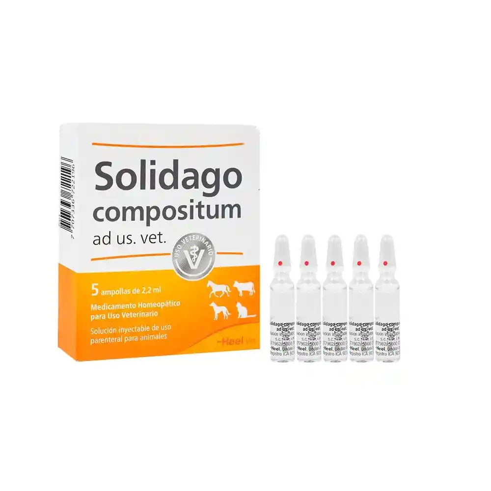 Solidago Compositum Amp C/u