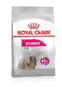 Royal Canin Perro Mini Exigent X 1kg