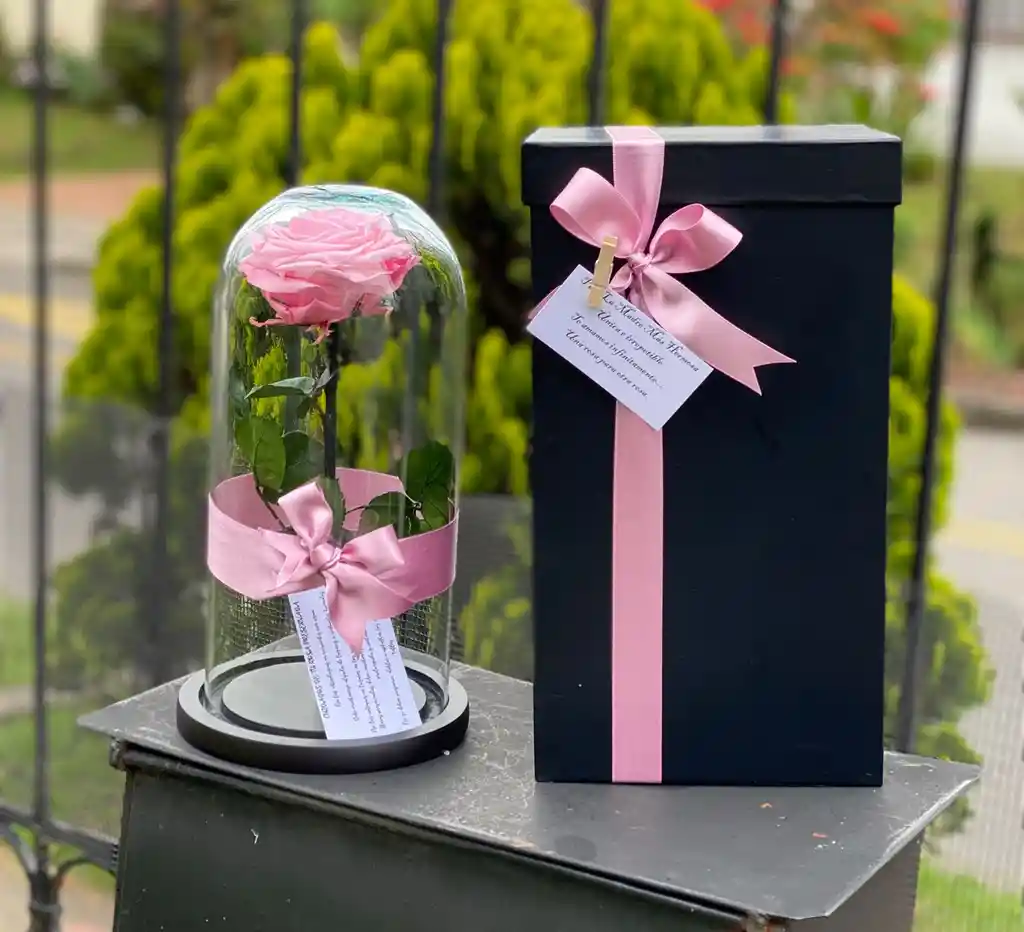 Rosa Preservada Rosada Con Caja Regalo