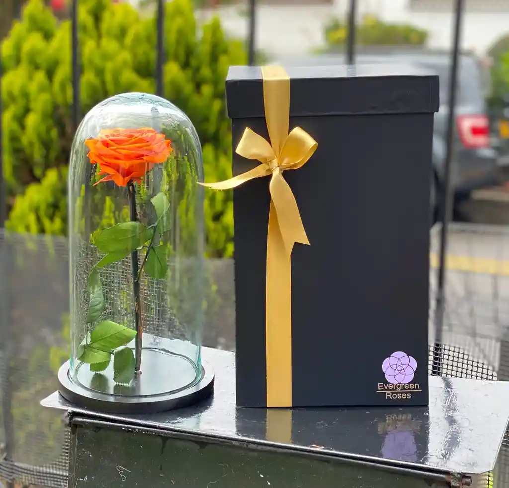 Rosa Preservada Naranja Con Caja De Regalo