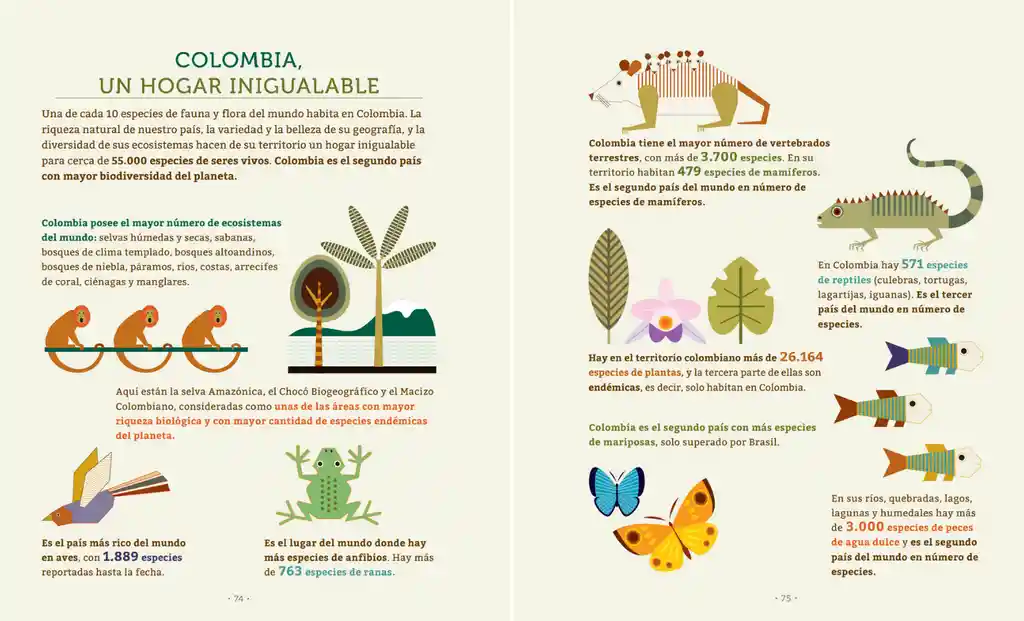 Libro Infantil Los Secretos De Los Animales Para Niños Niñas