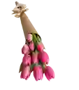 Cono De Tulipanes Rosados