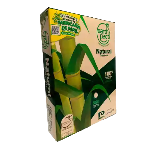 Resma Oficio Ecológica 75gr Reprograf