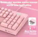 Teclado G25 De Membrana Rosa+ Pad Mouse Xl 80cm*30cm Onikuma