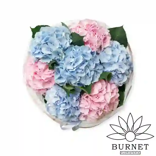 Hortensias De Color En Bouquet