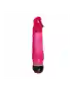 Vibrador Exciter