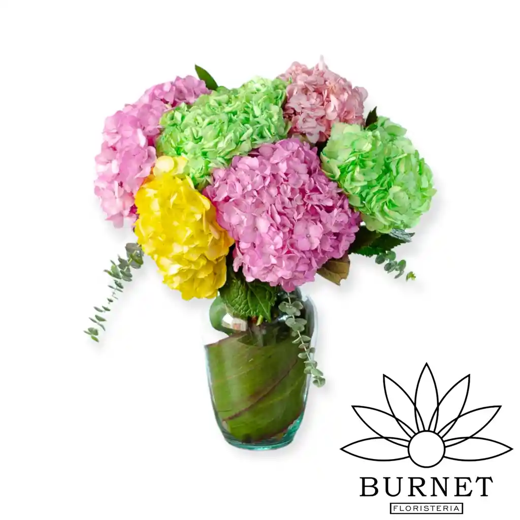Hortensias De Colores En Jarrón De Regalo