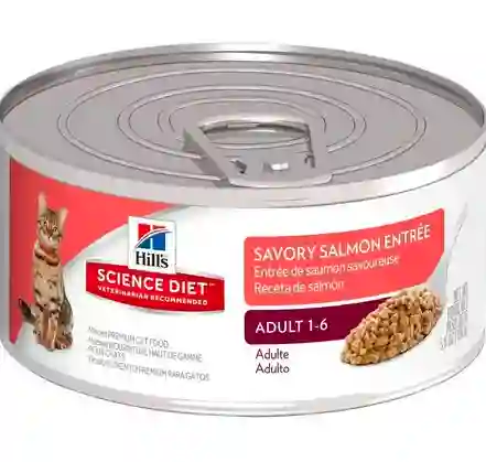Feline Adulto Salmon 5,5 Oz