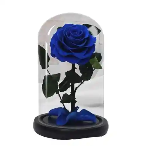 Rosa Preservada Azul