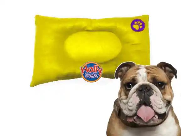 Colchón Premium Grande Huella Bordada Para Mascota Amarillo