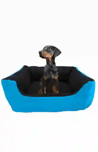 Cama Gigante Para Mascota Con Cojín Lavable Celeste