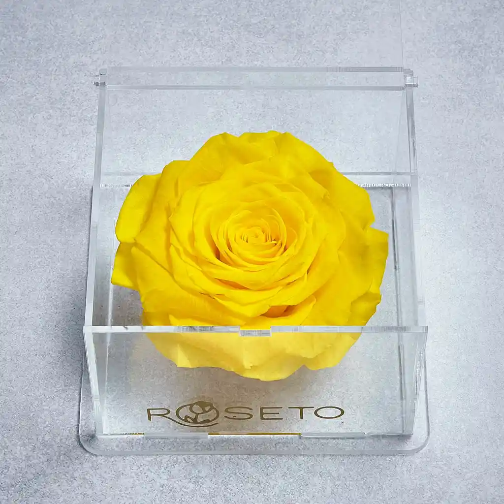 Rosa Preservada Crystalbox