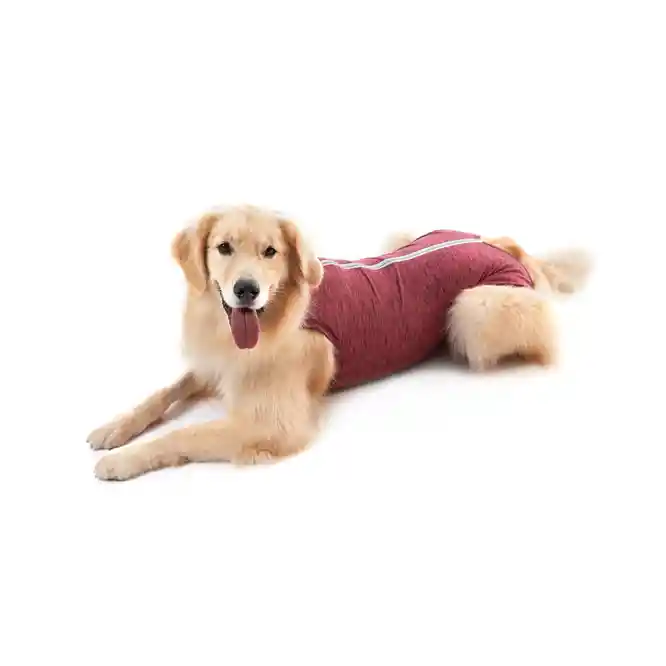 Ropa Post Quirurgica Canino Hembra Rosa 13 (38 A 45 Kg)