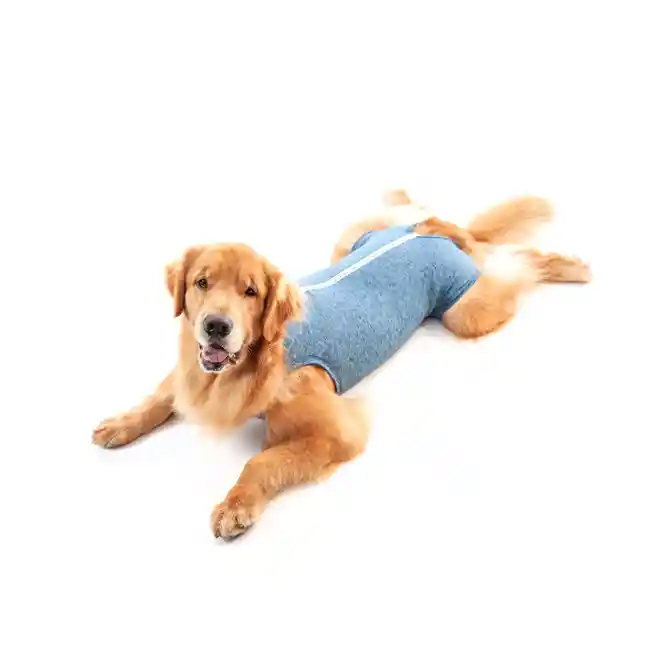 Ropa Post Quirúrgica Canino Macho Azul 13 (38 A 45 Kg)