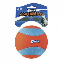 Juguete Perro Anfibio Mega Ball 50990