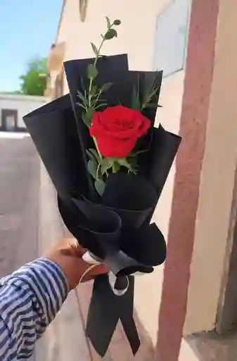 Rosa Dolcezza
