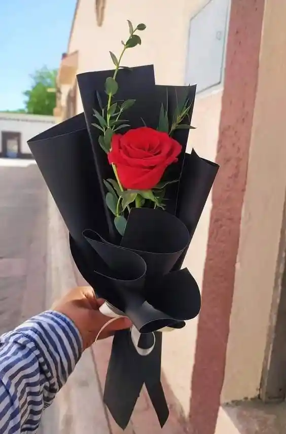 Rosa Dolcezza