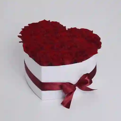 Rosas Euforia