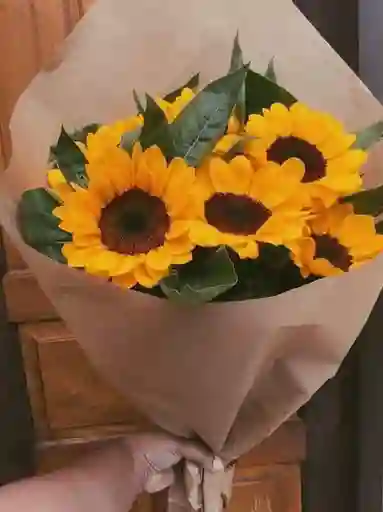 Girasoles Sole