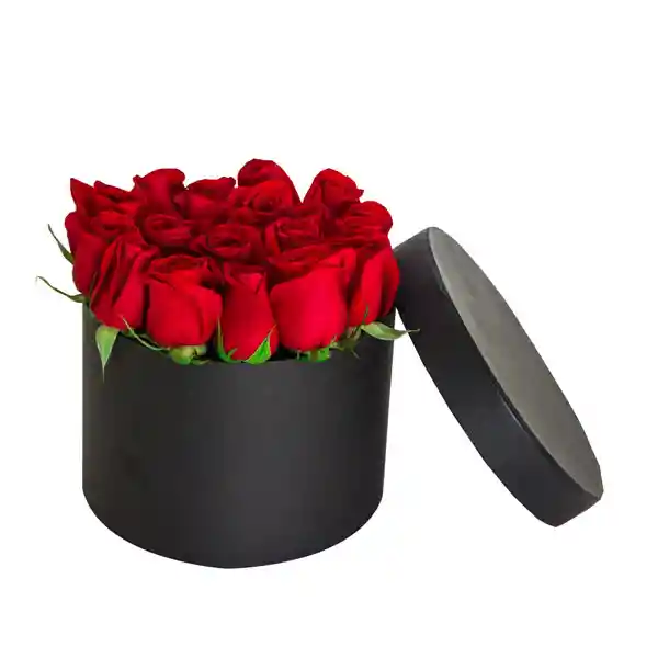 Rosas Para Regalar