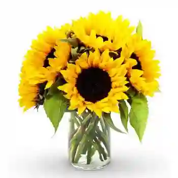 Girasoles Vasé
