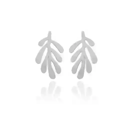 Aretes Alga Plateados