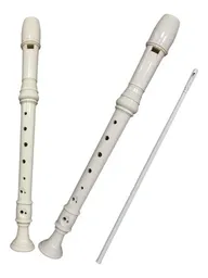 Flauta Instrumento Musical