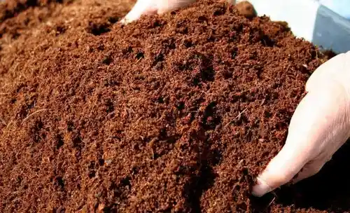 Sustrato De Coco Prelavado