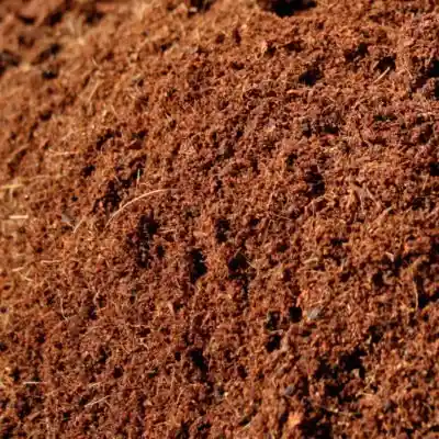 Sustrato De Coco Prelavado