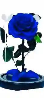 Rosa Azul Preservada En Cúpula De Vidrio