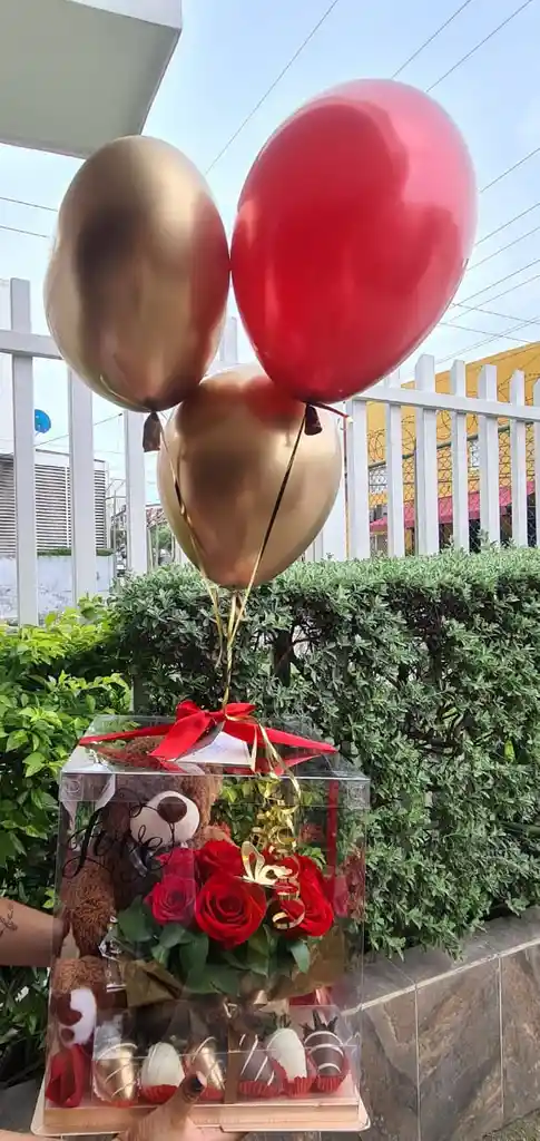 Oso En Caja Con Rosas Y Fresas Con Chocolate