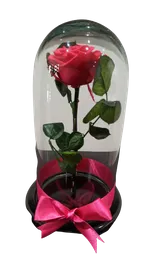 Rosa Preservada Fucsia Premium Tamaño Mediano