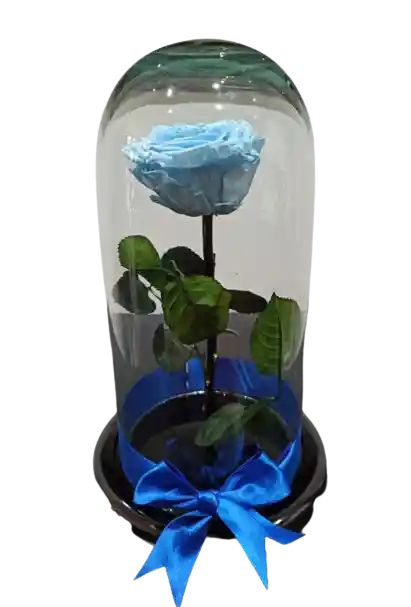 Rosa Preservada Azul Claro Premium Tamaño Mediano