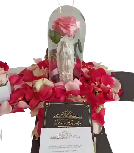 Rosa Preservada Rosada Grande Con Virgen Y Caja Sorpresa De Pétalos