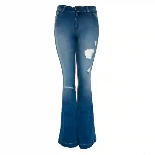Jean Fashion