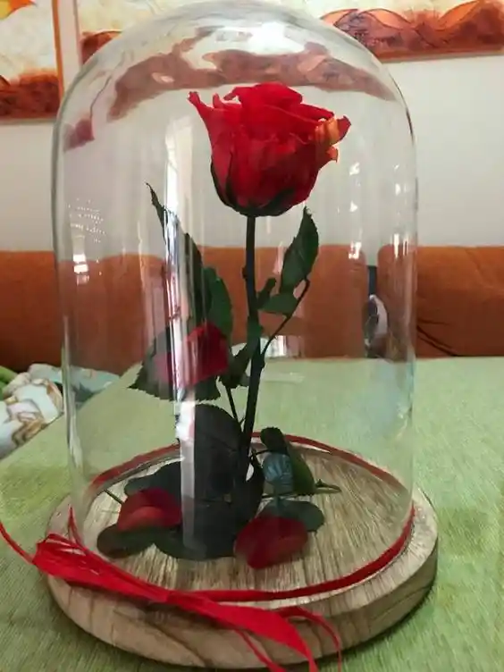 Rosa Roja Preservada