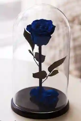Rosa Azul Preservada