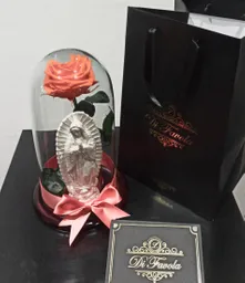 Rosa Preservada Grande 30 Cm Salmón- Naranja Con Virgen ,