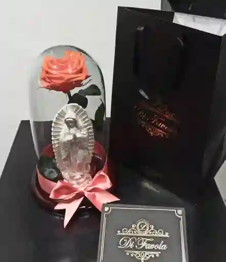 Rosa Preservada Grande 30 Cm Salmón- Naranja Con Virgen ,