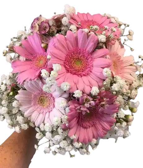 Gerberas Dulce Amor