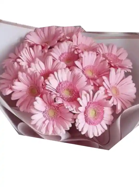 Gerberas Feliz Día