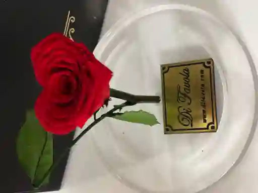 Rosa Mini En Forma De Corazon Rojo En Cupula
